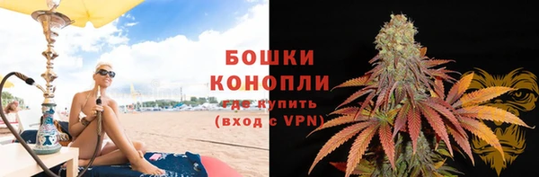 ПСИЛОЦИБИНОВЫЕ ГРИБЫ Медногорск