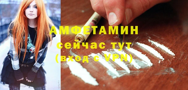 стаф Артём